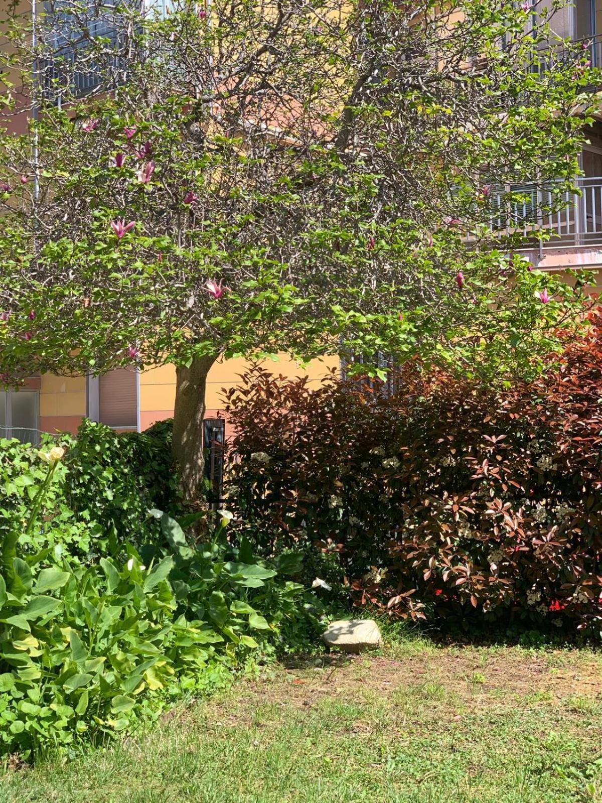 B&B La Magnolia Savona Eksteriør billede